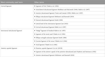 Role of the intrinsic subtalar ligaments in subtalar instability and consequences for clinical practice